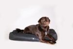Monster B-DOG Bed - Forest Green - Image 6