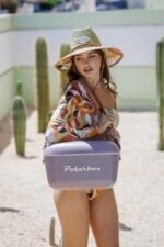 Polarbox® Retro Ice Box Mauve - Gold Edition 20L - Image 4